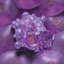 cell death
